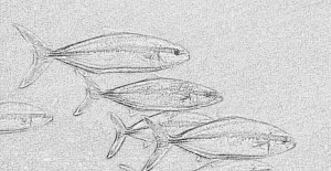 Networking Breakfast Mount Martha