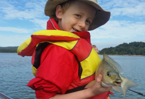 Quickbooks Online Advice 